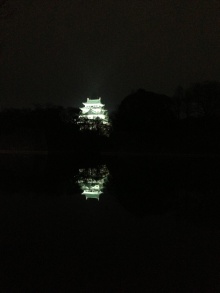 ライトアップされた名古屋城